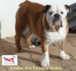 Louise des terres d'utahia